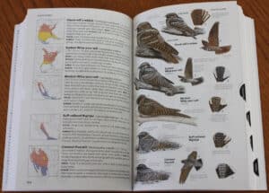 National Geographic Field Guide - Book's Content