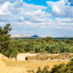 Bahariya Oasis - An Ideal Destination For Your Egypt Trip